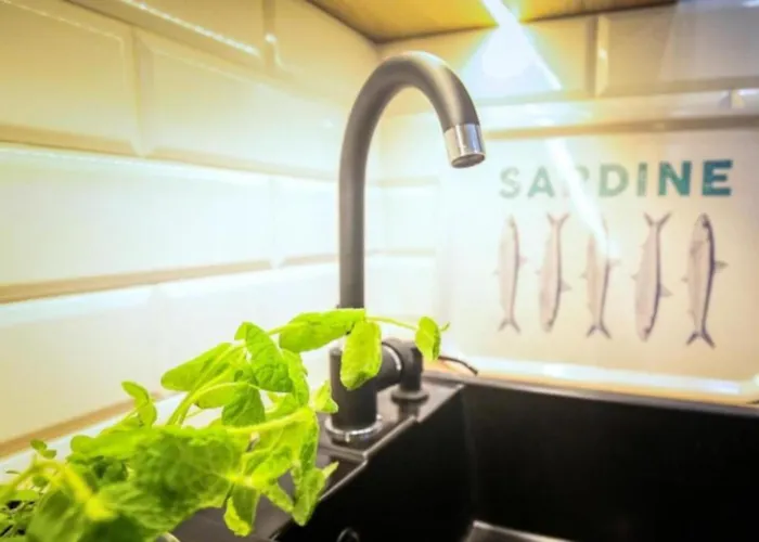 Bayside Center Daire