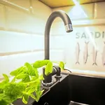Bayside Center 아파트